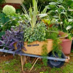 wheelbarrow safety how to wheelbarrow safe uses of wheelbarrow Best Way of Wheelbarrow Safety