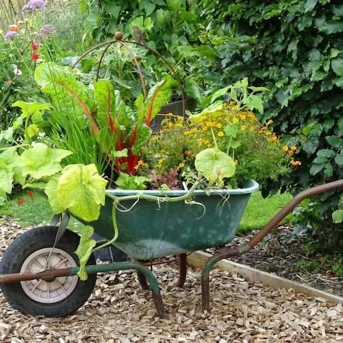 a wheelbarrow full of plants
uses of wheelbarrow in the garden