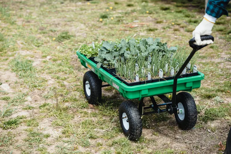 a green wagon with plants in it
Wheelbarrow For Planting
Can I Use a Wheelbarrow For Planting?
what wheelbarrow should i use for panting 