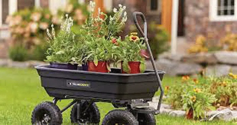 Wheelbarrow vs Garden Carts. Top Complete Guide
